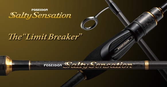 EVERGREEN（エバーグリーン インターナショナル） - PSSS-77S リミット