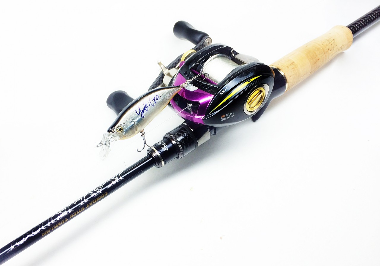 EVERGREEN（エバーグリーン インターナショナル） - GTR-C66LLR