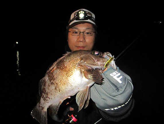 EVERGREEN（エバーグリーン インターナショナル） - PSSS-70S Dアタッカー