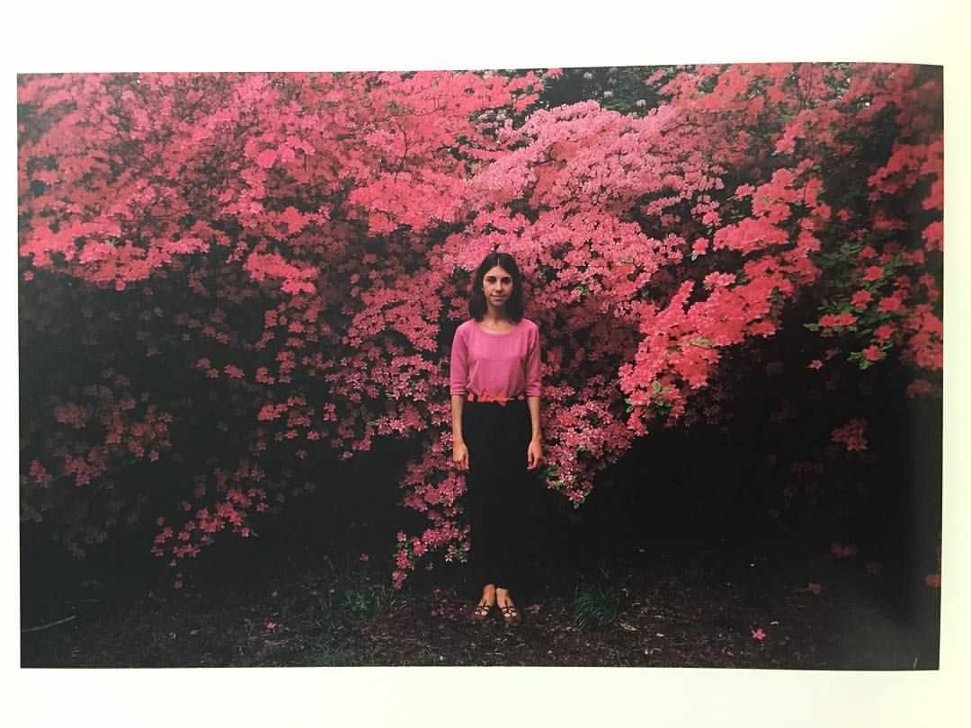 Joel Meyerowitz: Wild Flowers - Exibart Street