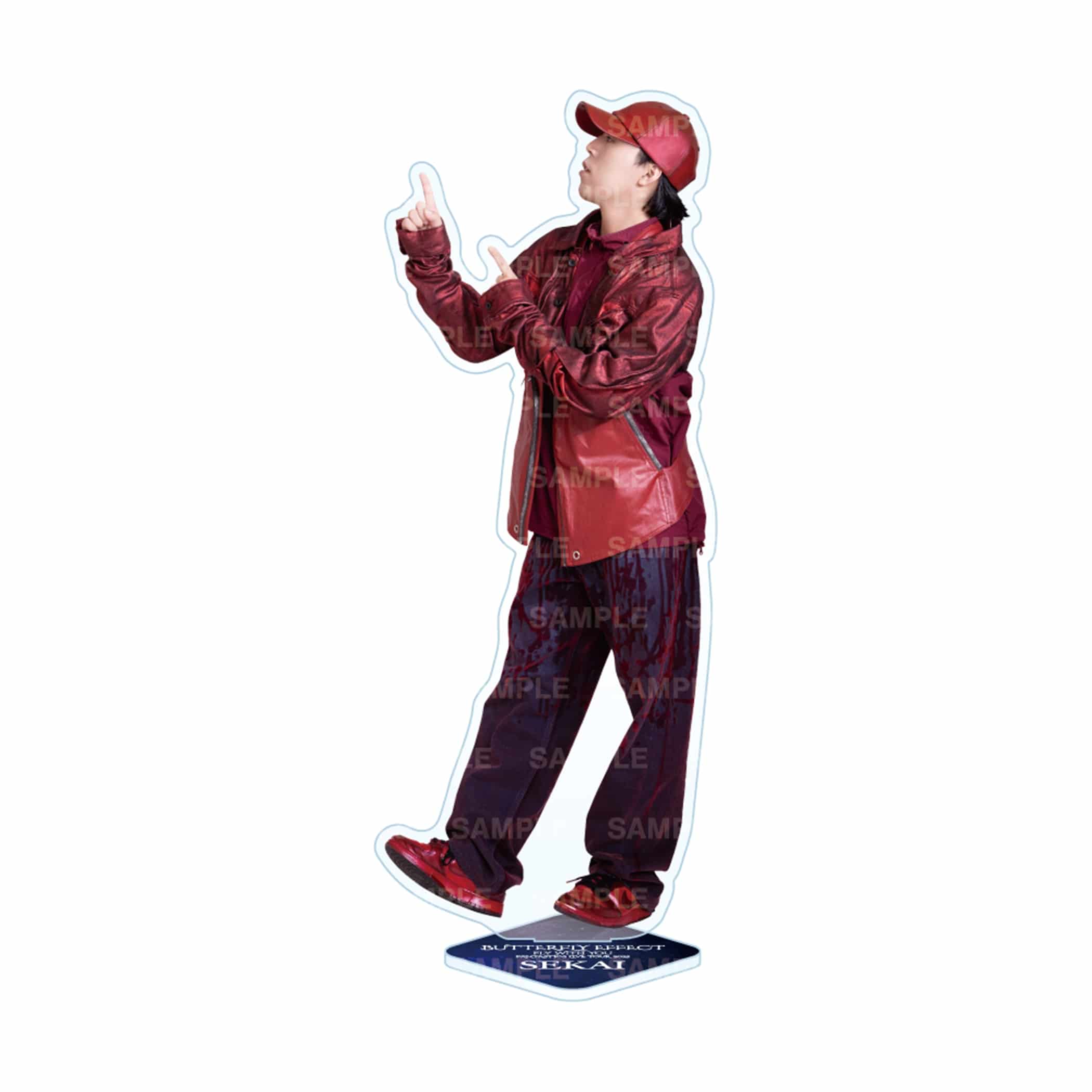 zz-13125110203_2118-1.jpg?