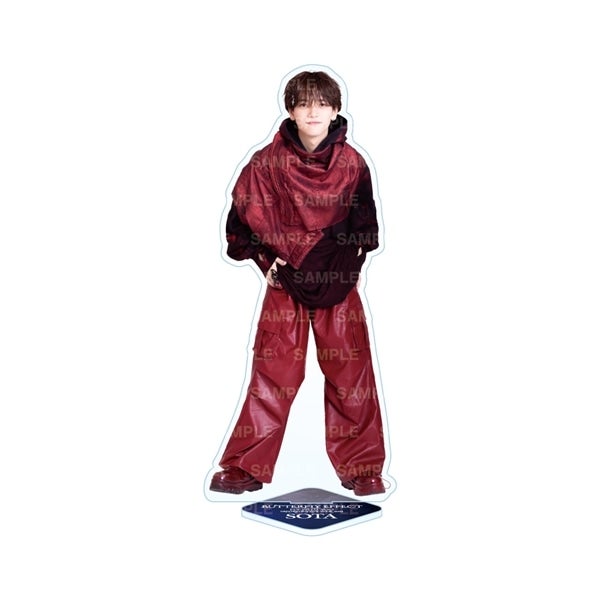 EXILE TRIBE STATION ONLINE STORE｜BUTTERFLY EFFECT -FLY WITH YOU