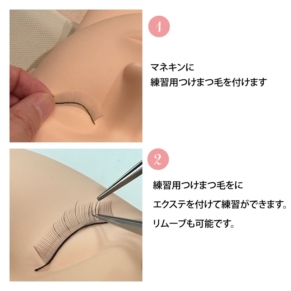 練習用つけまつ毛(5個セット) / 【テクニコ公式】まつ毛商材の仕入れ卸販売