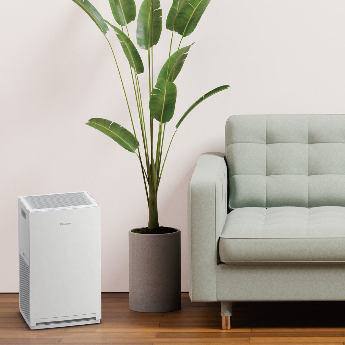 2026年モデル】ストリーマ空気清浄機（ACM556A-W）の通販・卸売り