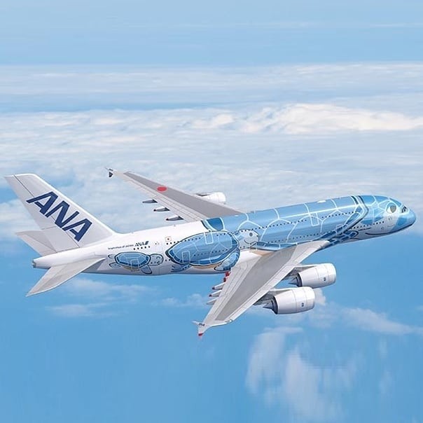航空機・ヘリコプター ANA Airbus A380 Flying Honu 1/200 航空機