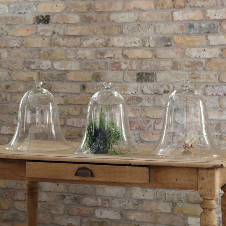 フランス アンティーク ガラスドーム – フランス、ヨーロッパの