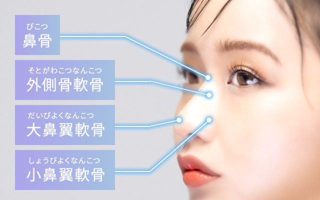 公式店】楽天1位！NIPLUX ニップラックス 鼻専用美顔器 QNose