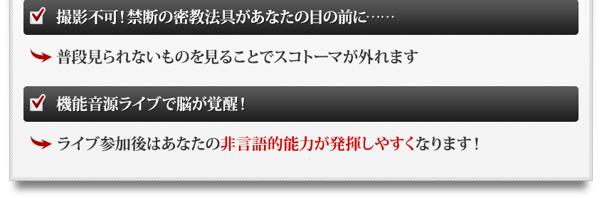 密教脳開眼の奥義【スペシャルエディション／USB版】（遠隔コース