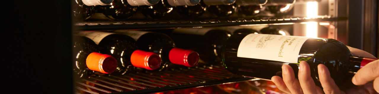 LongFresh ロングフレッシュ ST-RV273G | ワインセラーのフォルスター