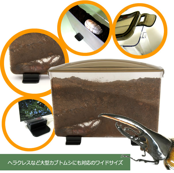 飼育用品各種～見える観察ケース「ラクぼっくすワイド」ご注文ページ