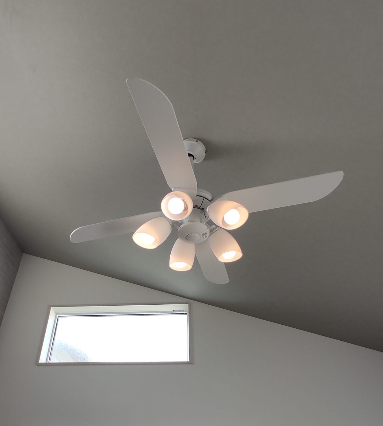 本日お値下げ✩✩✩シーリングファンライト　新品✩2025年6月到着 LEDシーリングファンライト（6灯：ホワイト+ナチュラル/ブラック+
