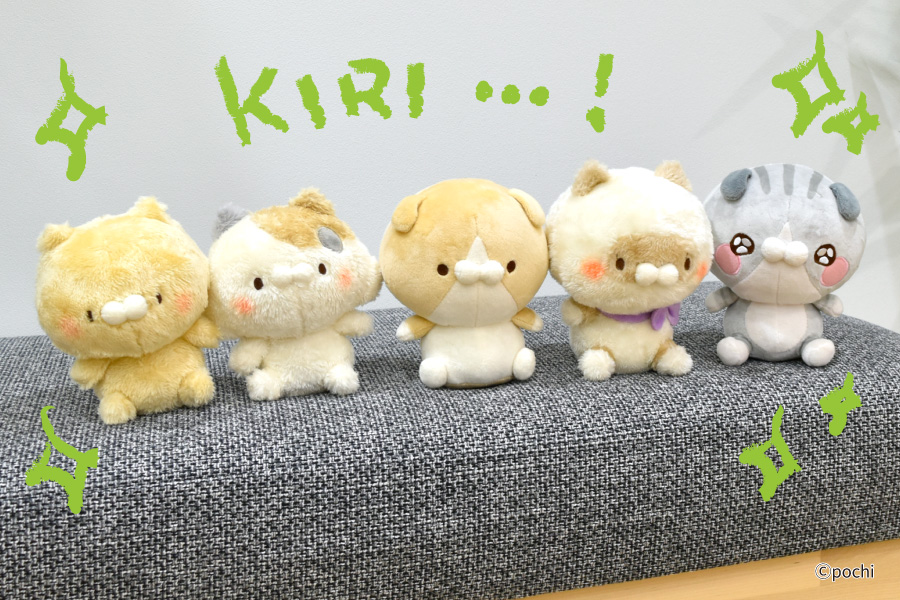 SNSで大人気の「こどもにゃんこ」「となりのにゃんこ」がプライズに