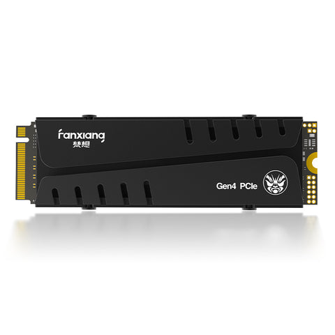 FanXiang S770 SSD: PCIe 4.0 NVMe High Speed