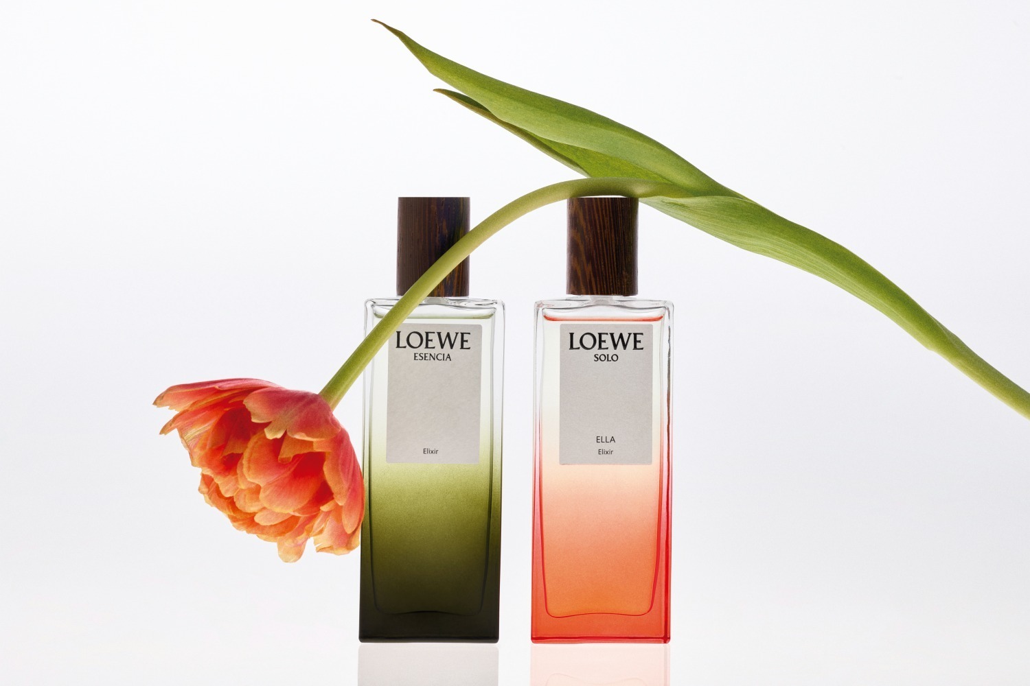 ロエベ フレグランスの新作香水「ロエベ エリクシール」“夕日”着想の