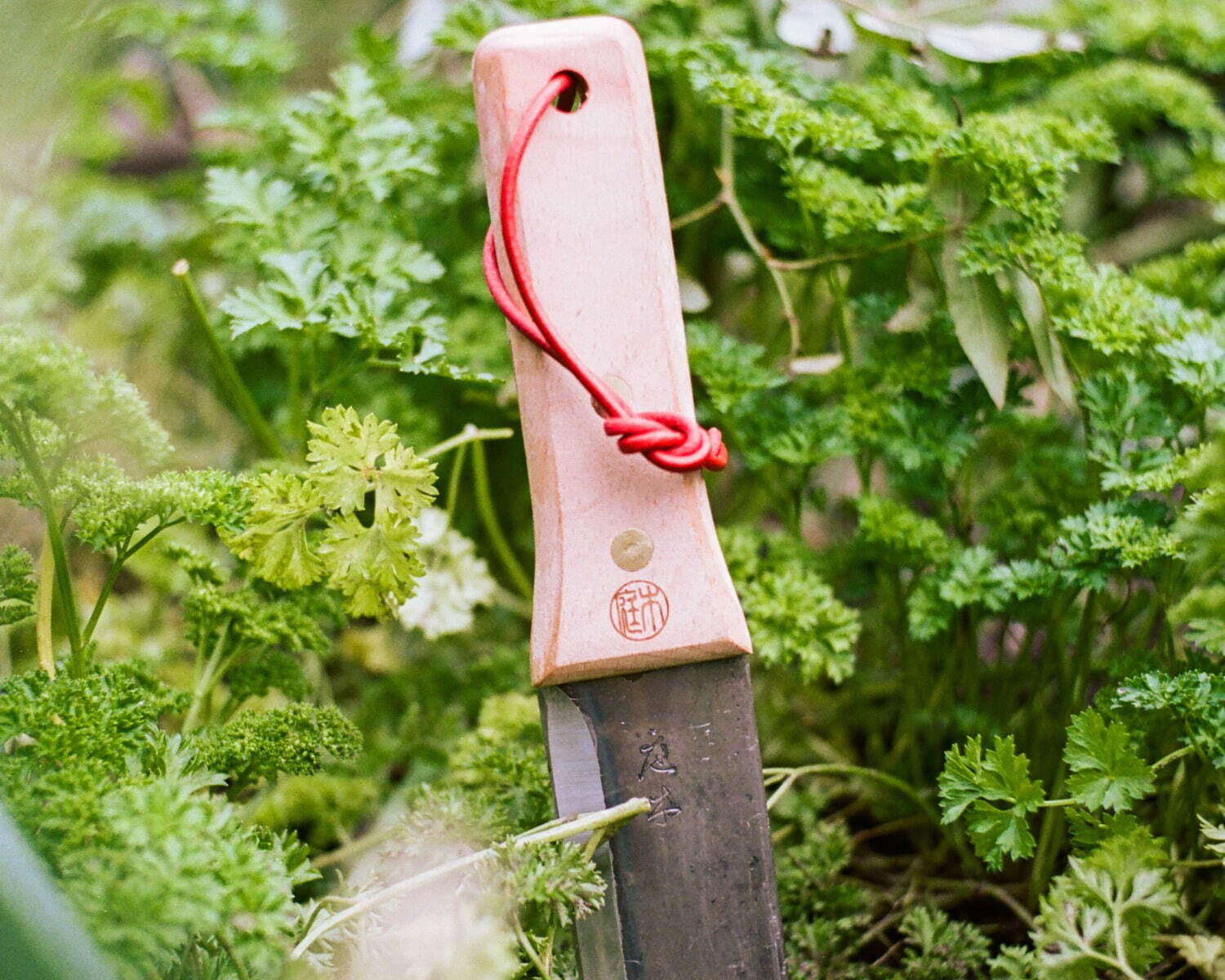 ポール・スミスのレザーケース付き剪定ばさみ、ガーデニング用品