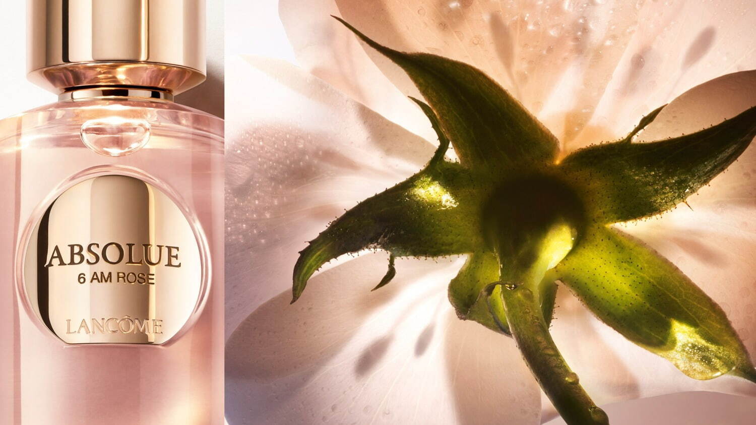 ランコム最高峰フレグランス「アプソリュ レ パルファン」24年冬誕生