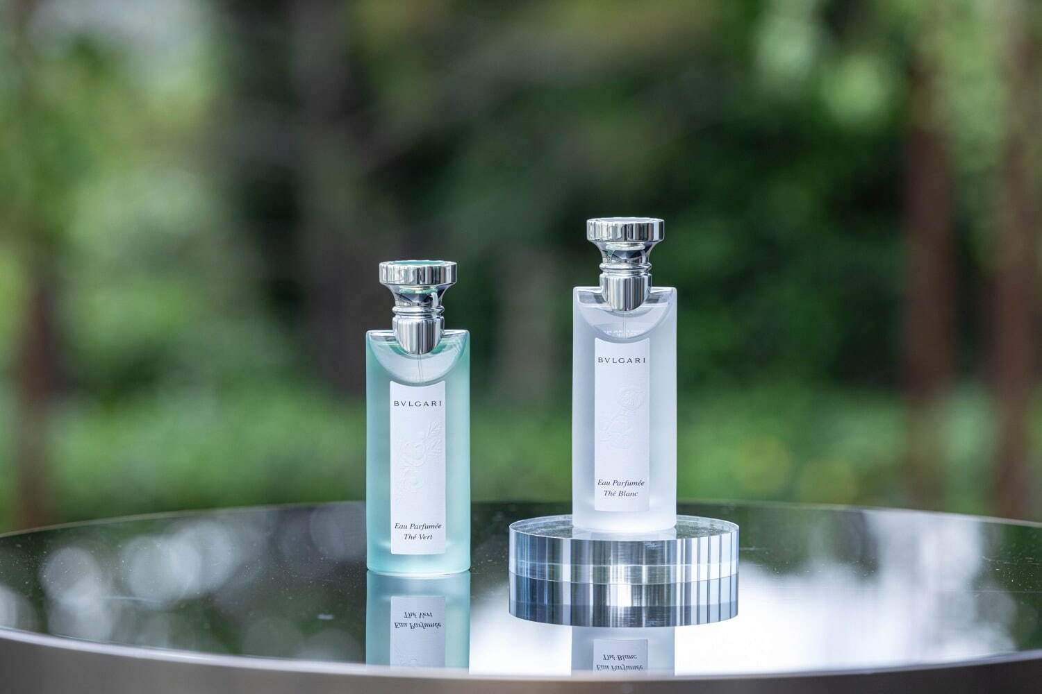 ブルガリ“緑茶＆白茶”着想のフレグランスが濃密なオードトワレに、若葉