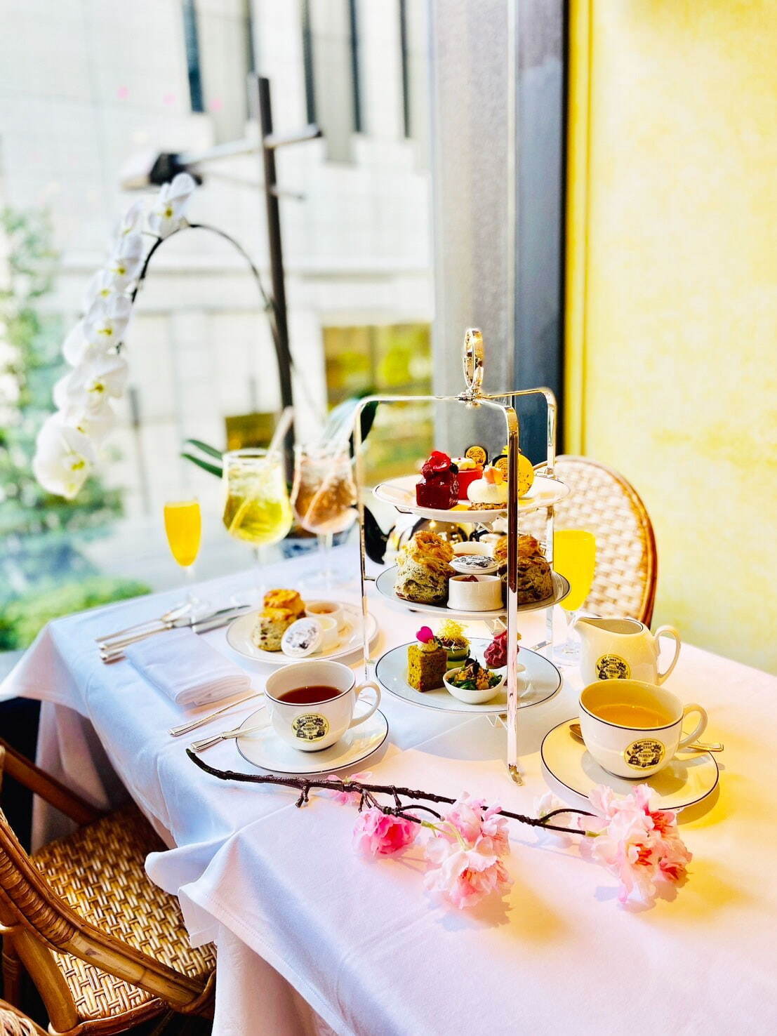 フランス老舗紅茶専門店「マリアージュ フレール」“桜香る”グリーン