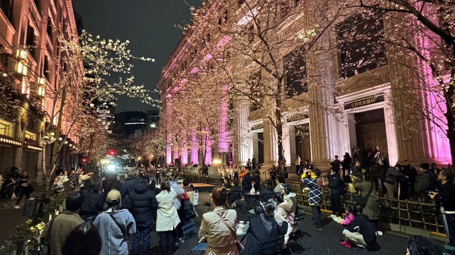 サクラ フェス ニホンバシ 2026」夜の日本橋が”桜色”にライトアップ