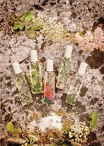 ジョー マローン ロンドンの限定フレグランス「ワイルド フラワー