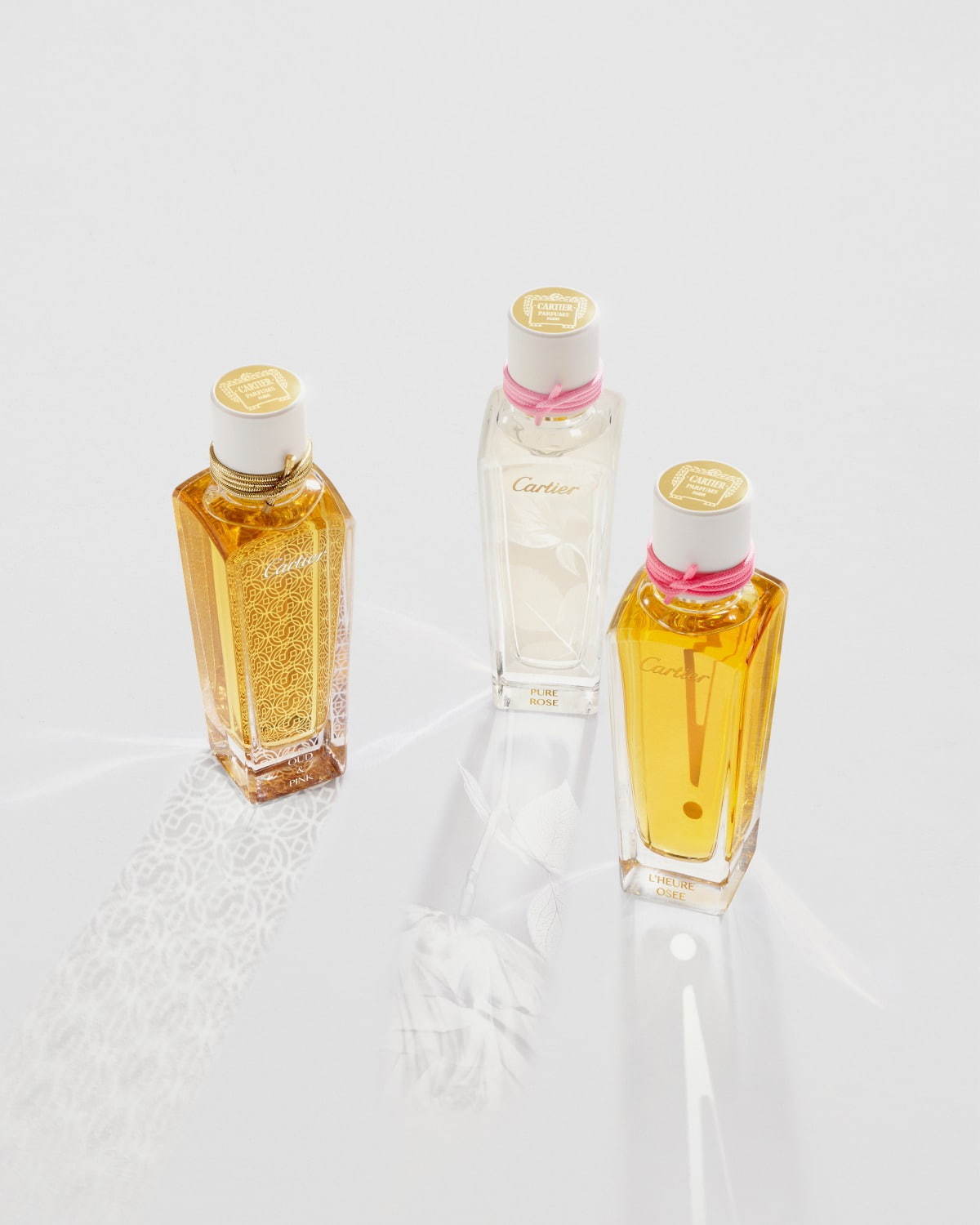 カルティエの新作フレグランス - “バラ”本来の性質を追求、パンクな