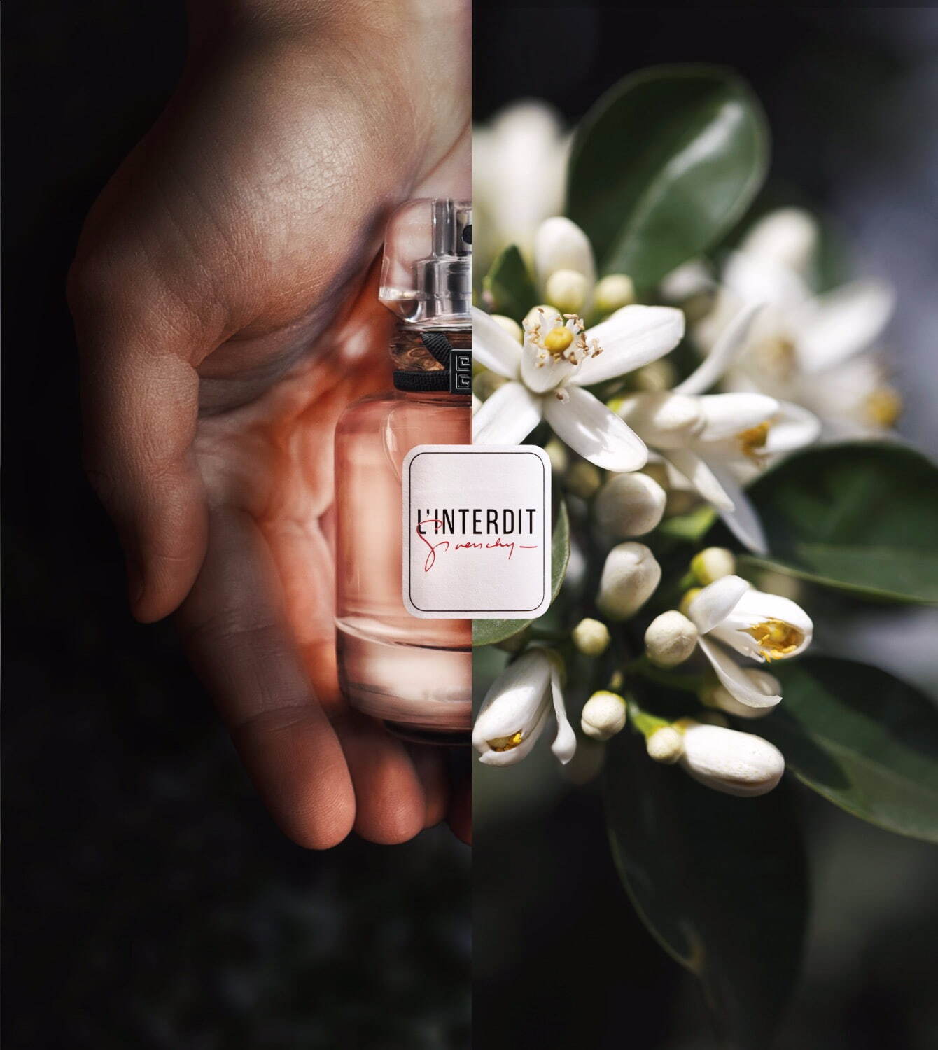 ジバンシイ新香水「ランテルディ ミレジム オーデパルファム」“ 収穫年