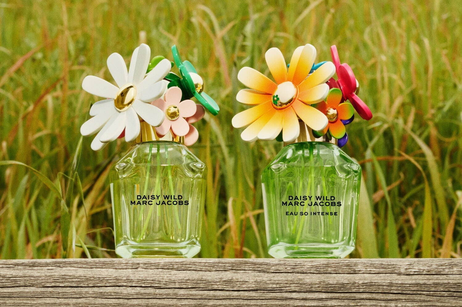 マーク ジェイコブスの香水「デイジー」25年秋新作、バナナの花