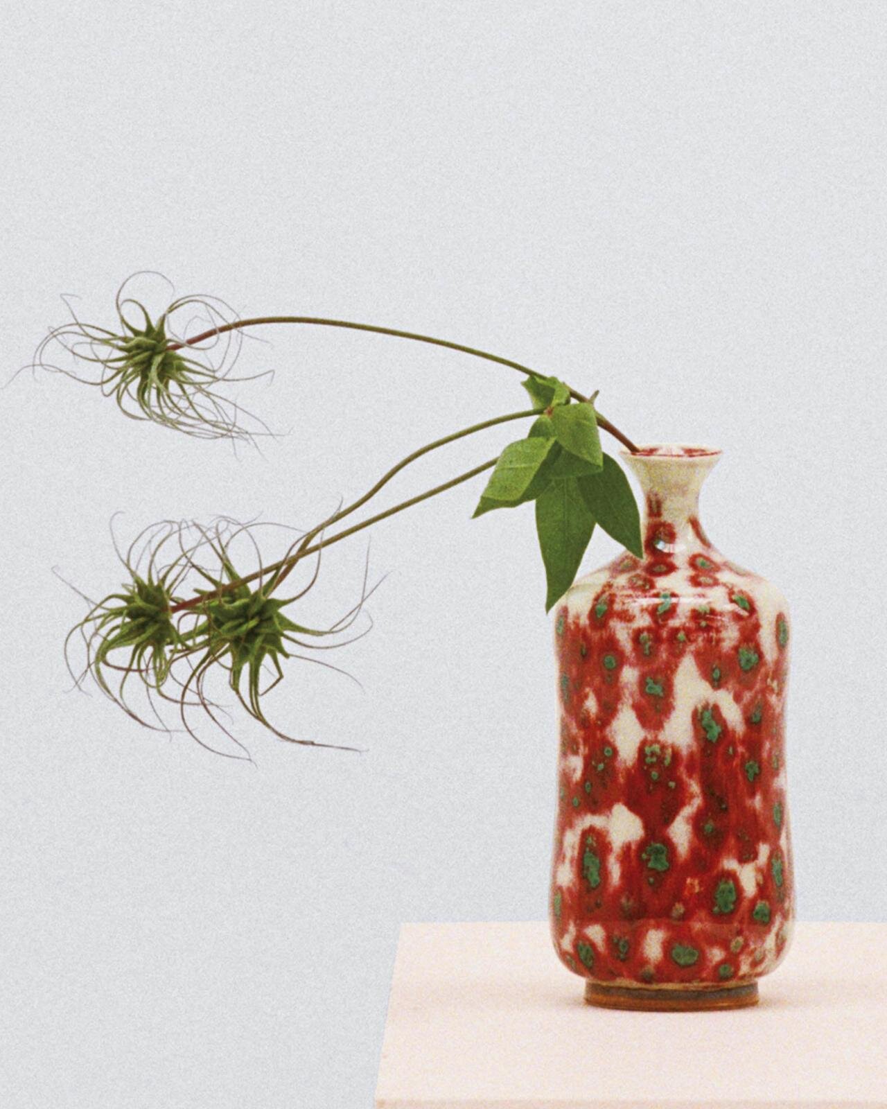 写真22/40｜ランバン コレクション(LANVIN COLLECTION) 2026年春夏