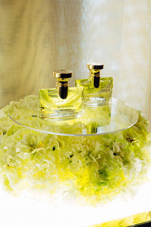 ブルガリ新フレグランス「スプレンディダ」をレポート、イリス・ローズ
