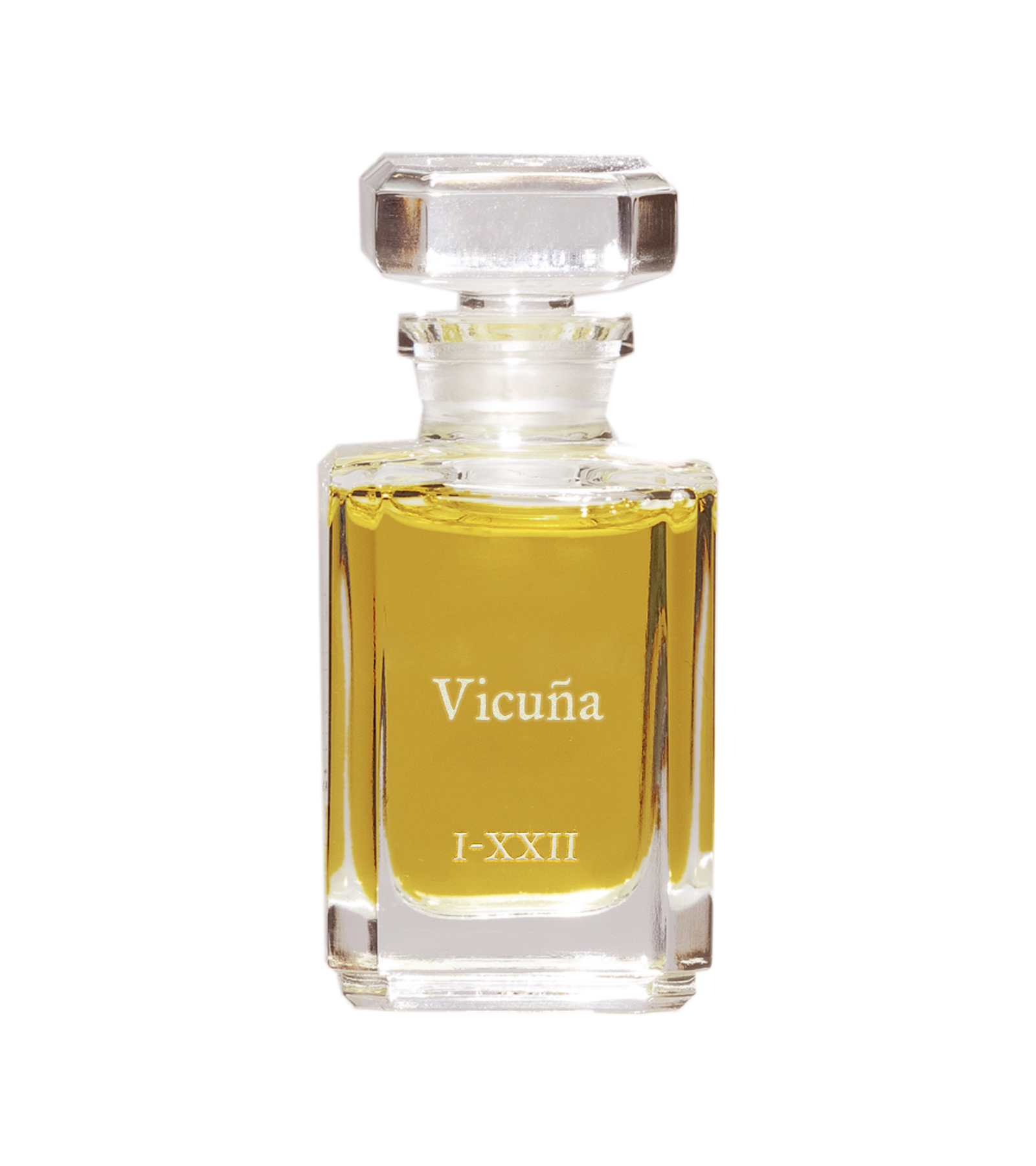 fueguia1833-pura-vicuna2-