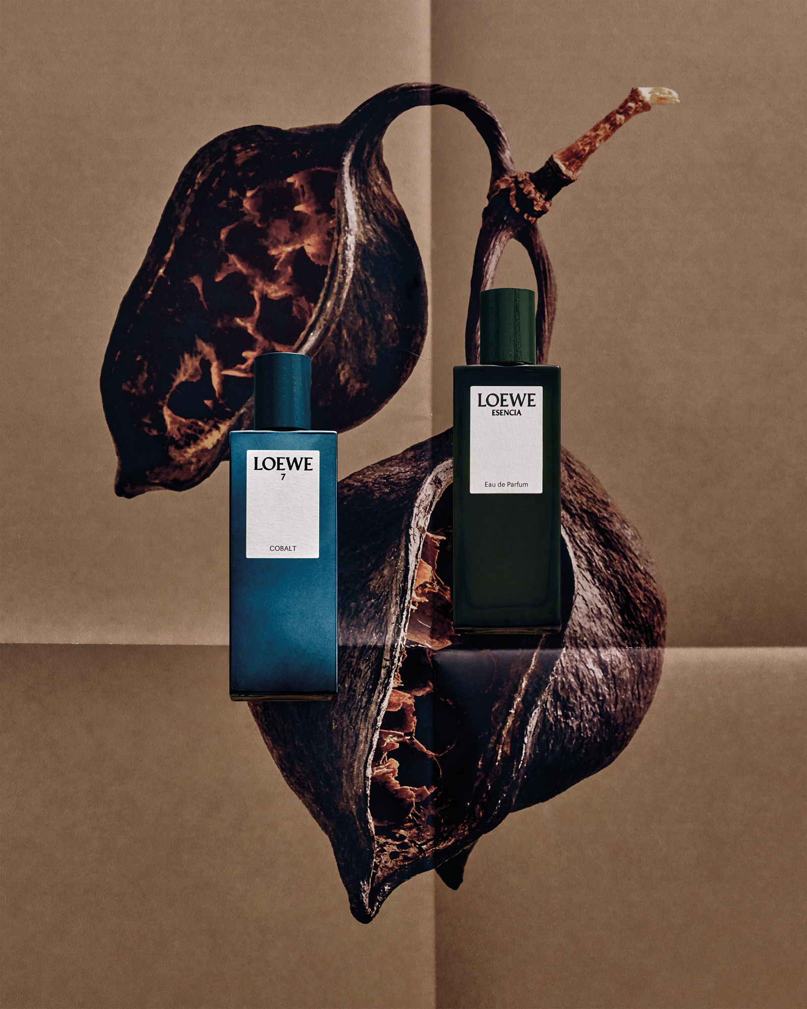 loewe-newyear2-240209-002-