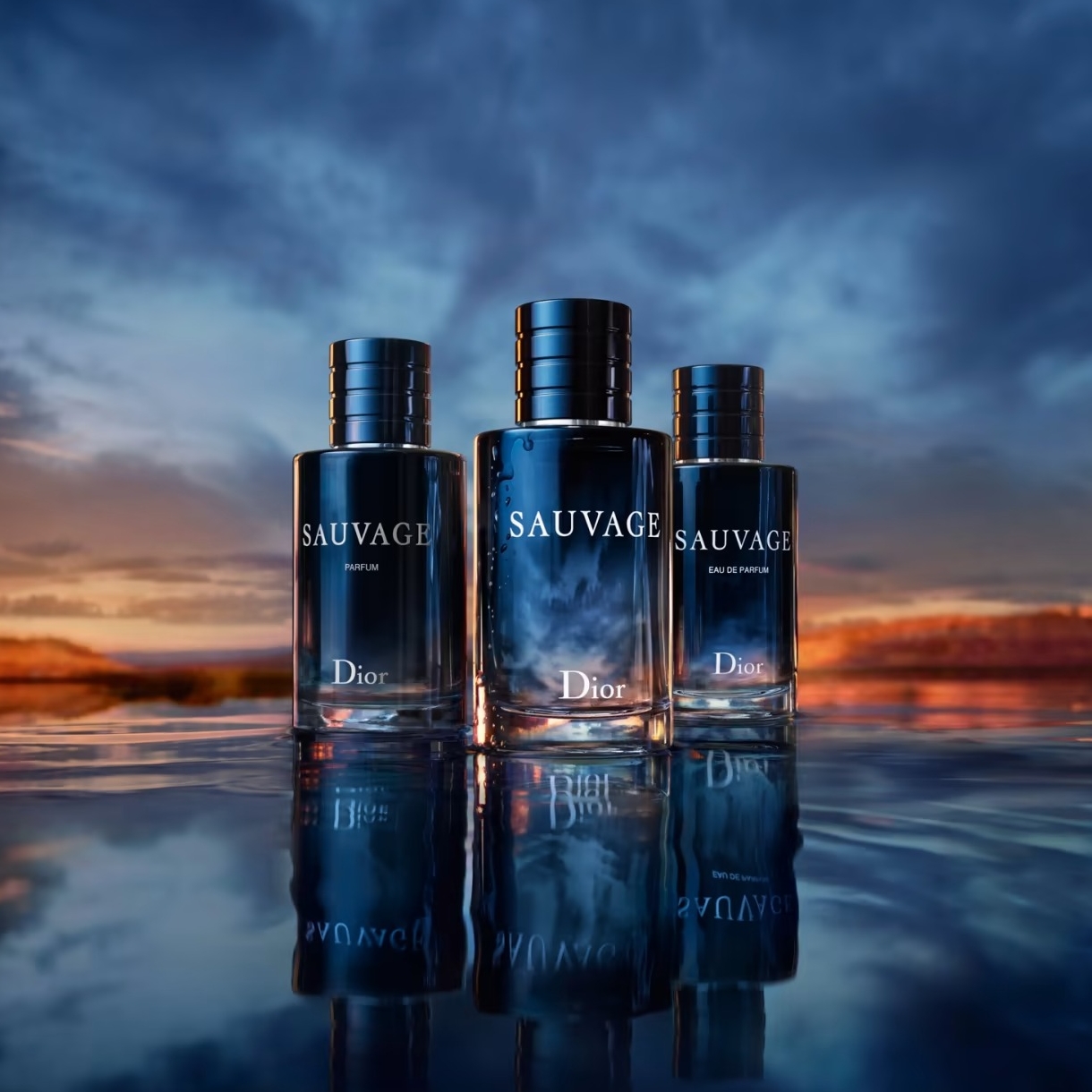 渋谷の交差点がディオールの香水「ソヴァージュ」に染まる THE RAMPAGE