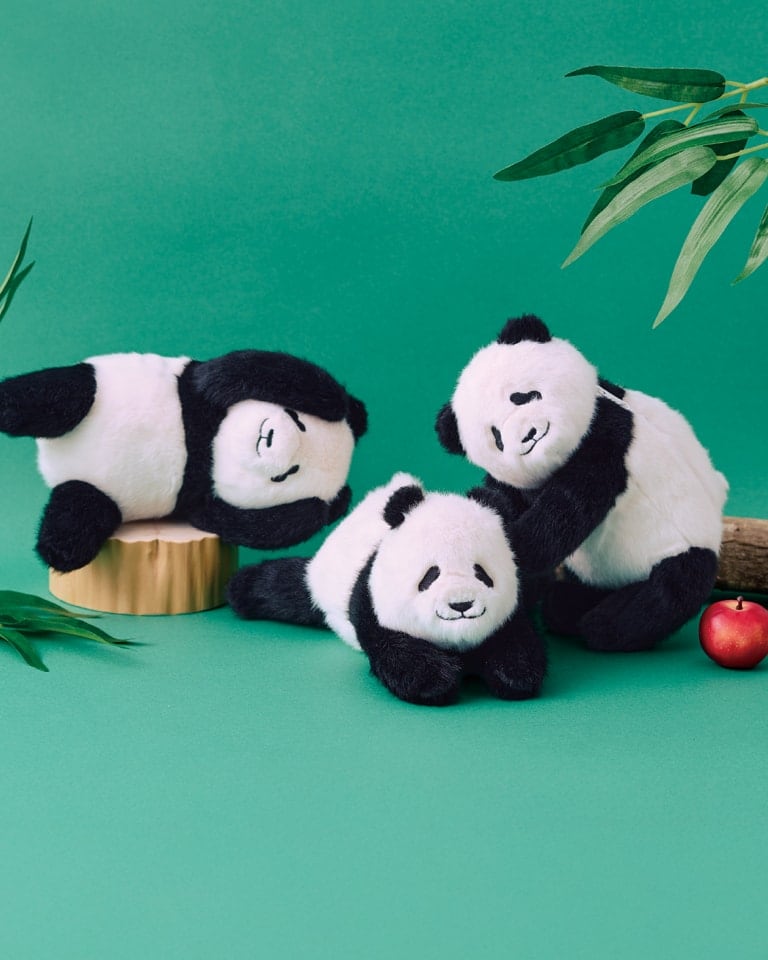 ずっと大好き！上野動物園のパンダたち｜YOU+MORE!｜フェリシモ