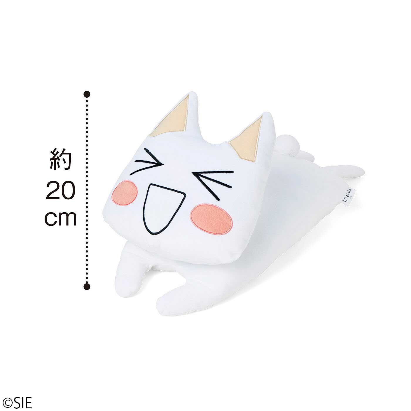 どこでもいっしょ×猫部 トロたちのもちもちクッションの会｜猫部