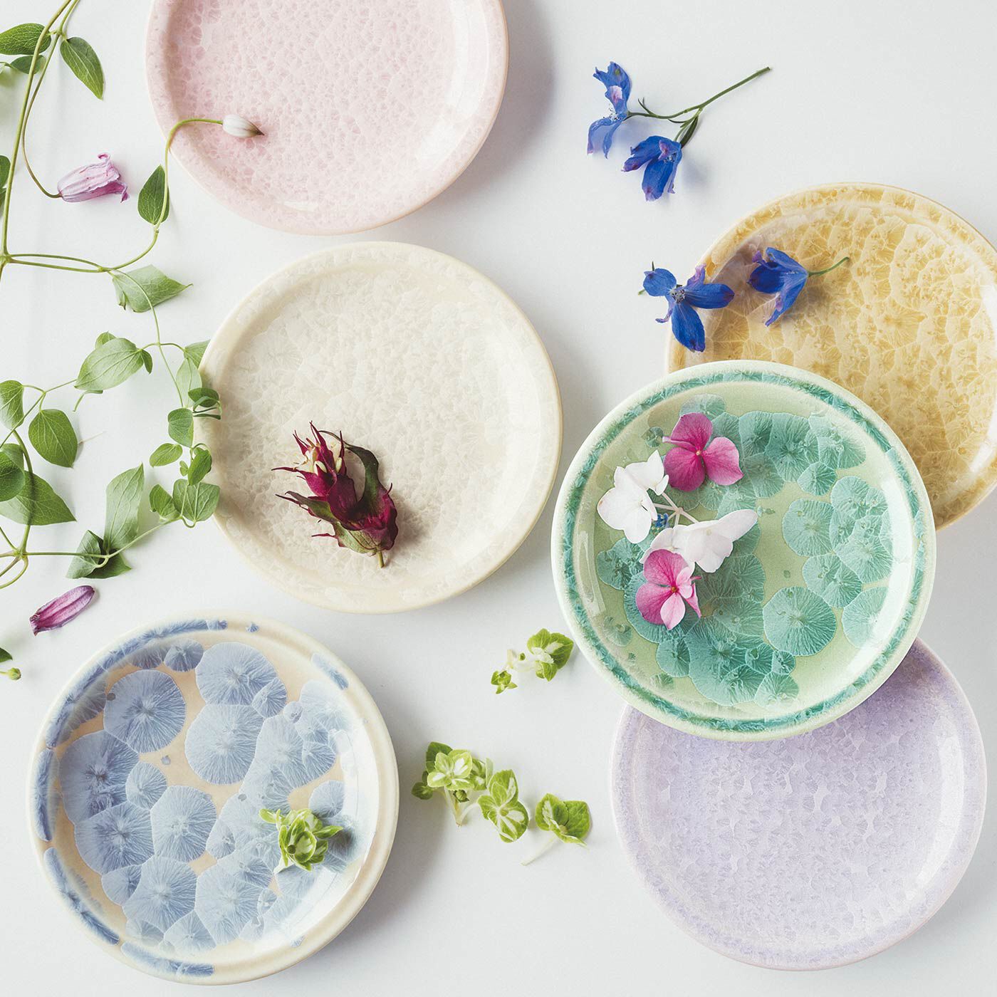 世界にひとつの景色と出会う 咲き誇る花結晶の清水焼〈菓子皿〉の会