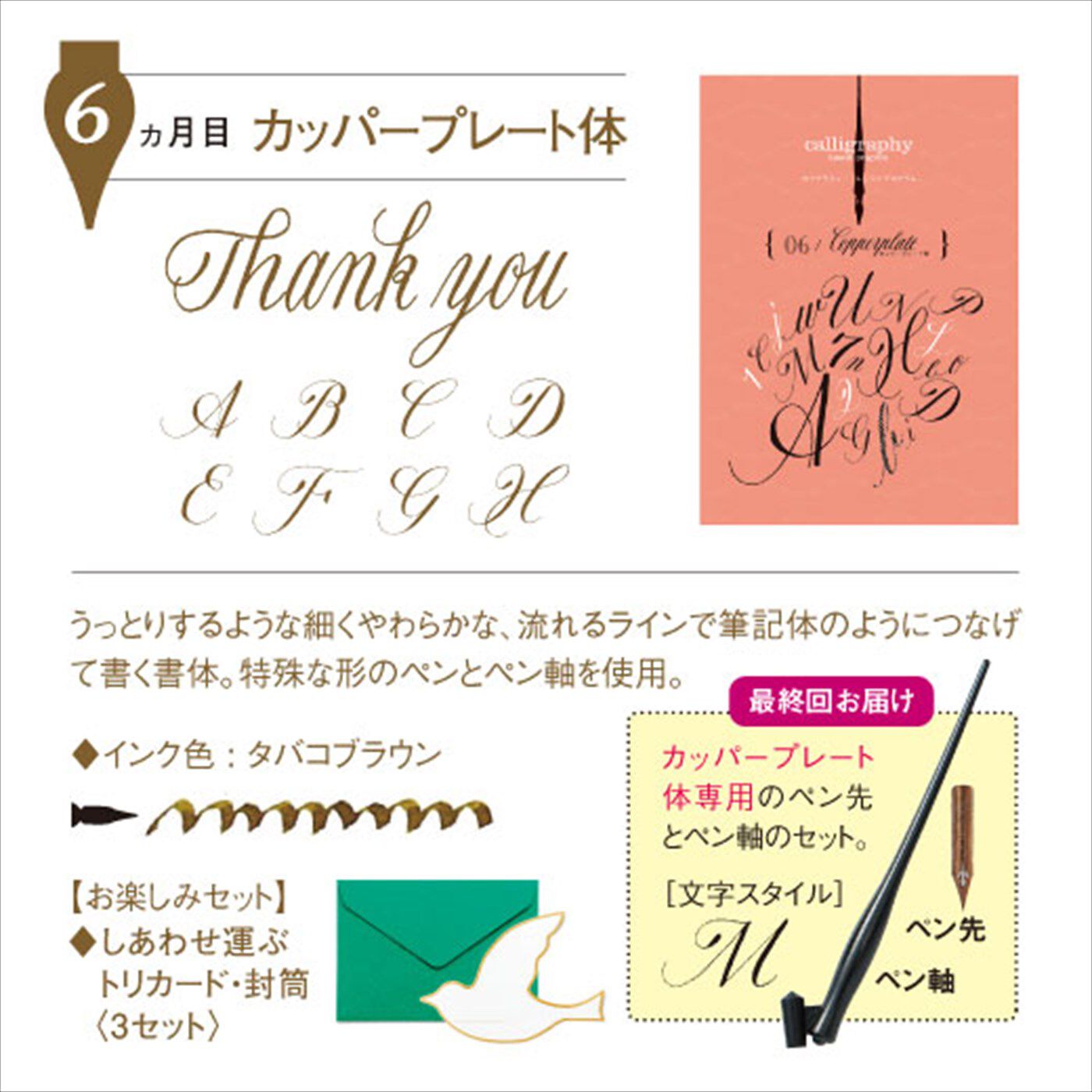 一度書いてみたかった！ 文字に魅せられる生活 カリグラフィーレッスン