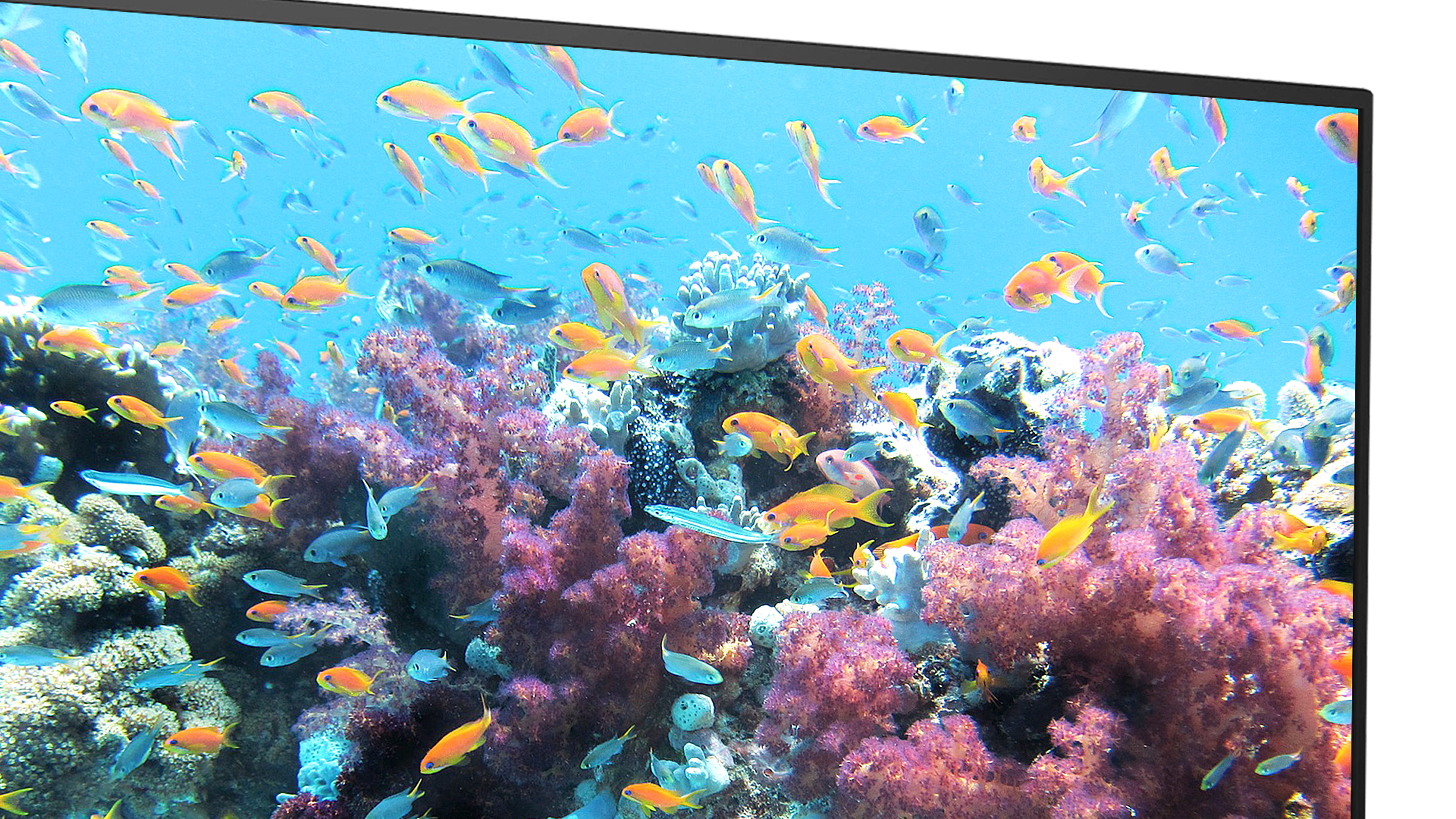 テレビ FFF-TV32WBK2 | FFF SMART LIFE CONNECTED株式会社