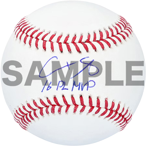 大谷翔平選手 直筆サイン入りグッズ ファイターズプレミアムストア限定