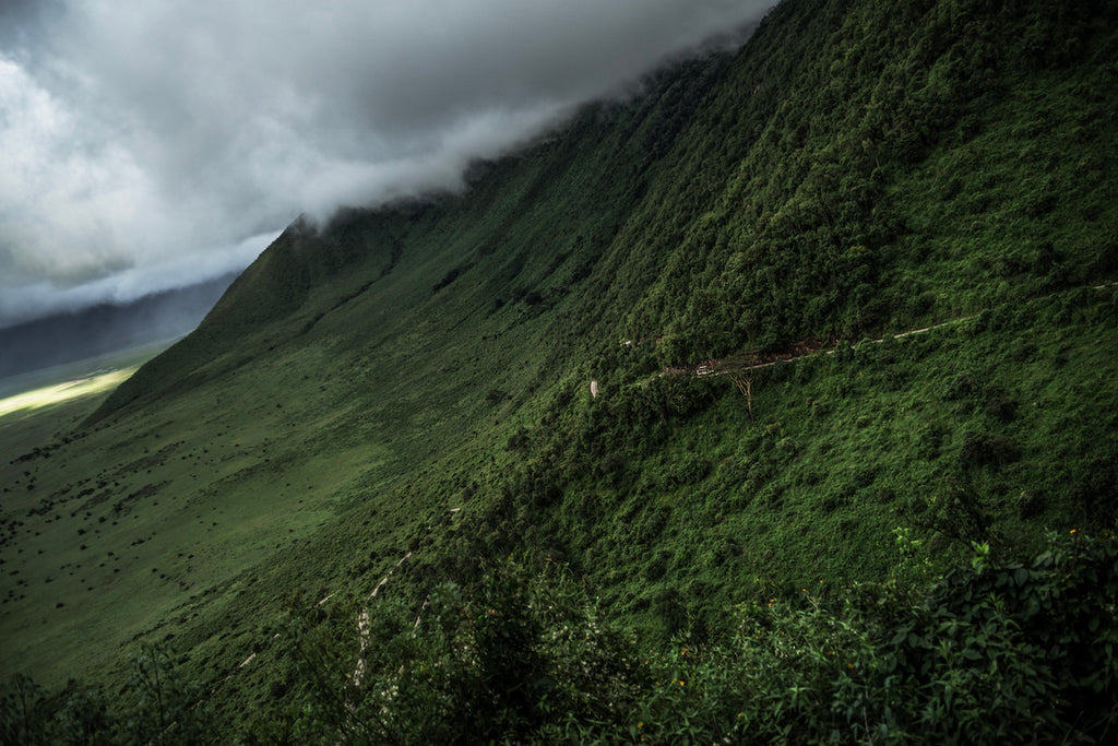 Dear Silence-静寂の森- – Takumichi Seo Fine Art Place