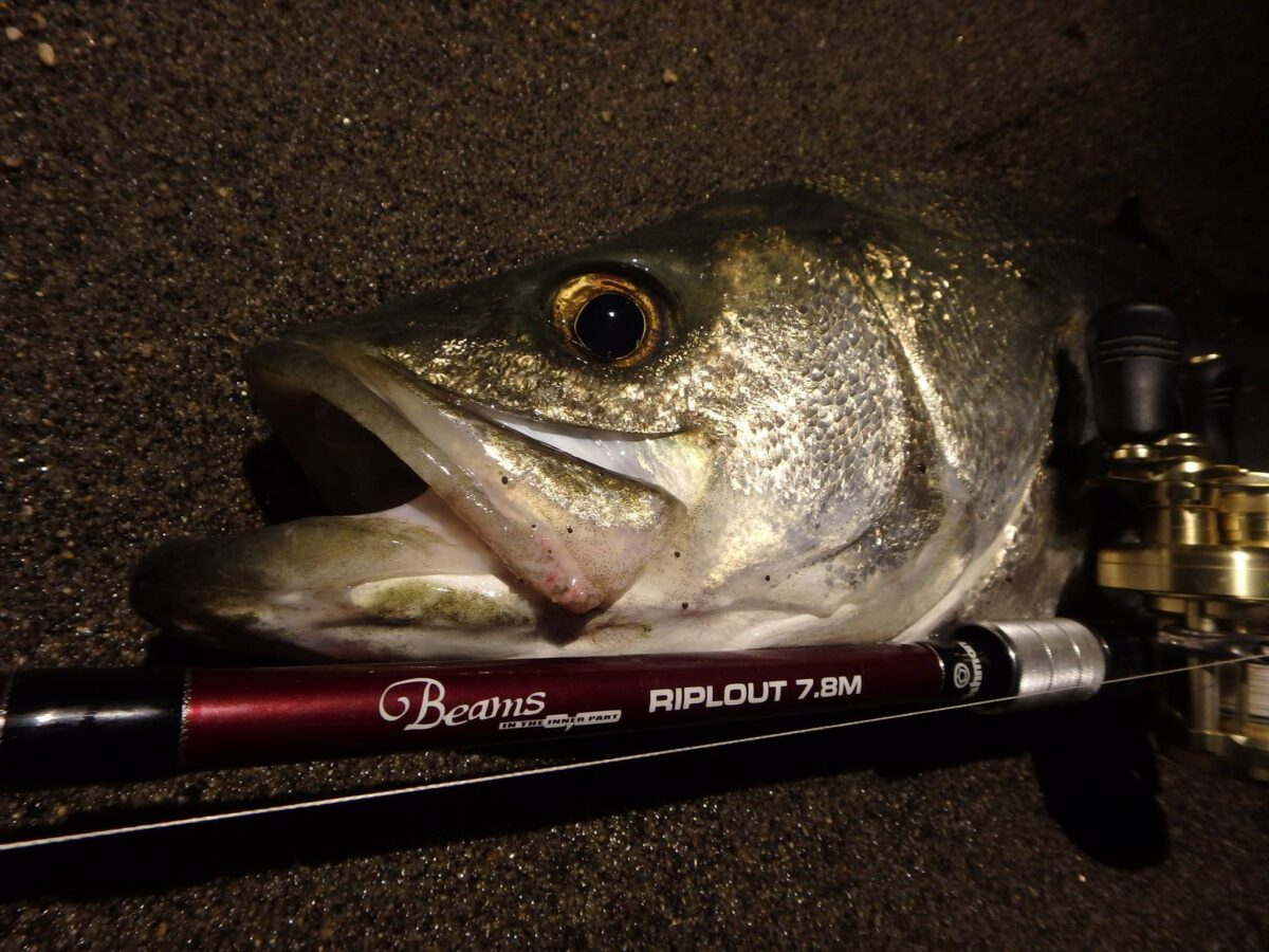 12309707_535488623283456_57647