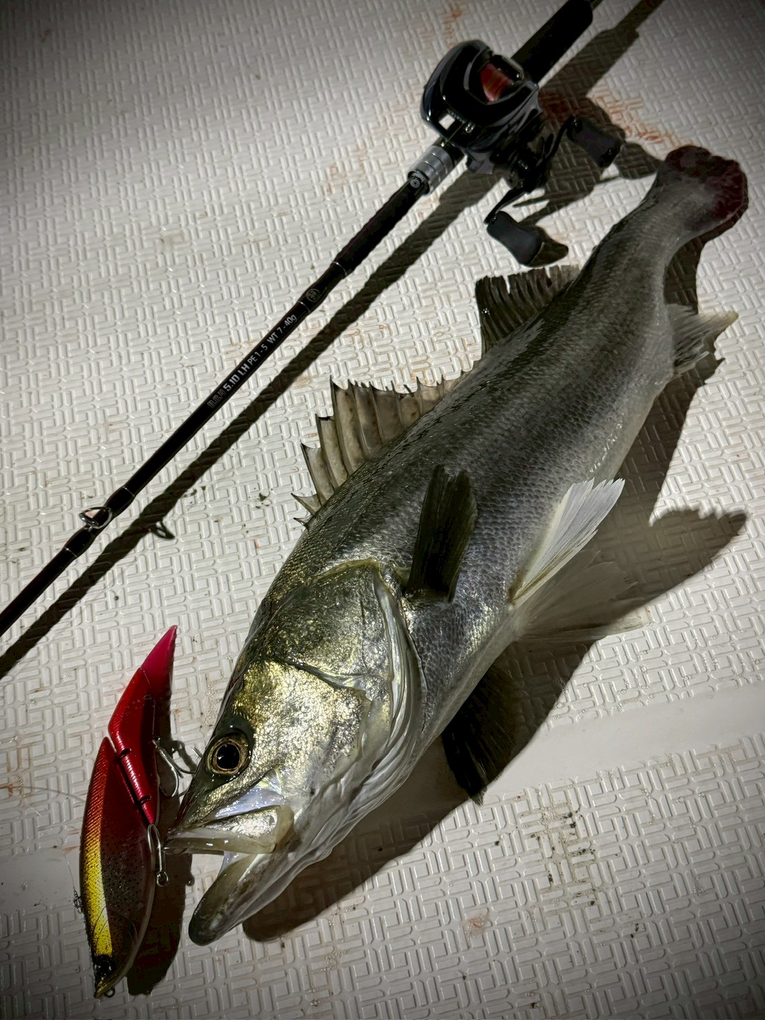 待望のモデルチェンジ！BC4 5.10LH POWER GRIPZ EDITION！ - Fishman