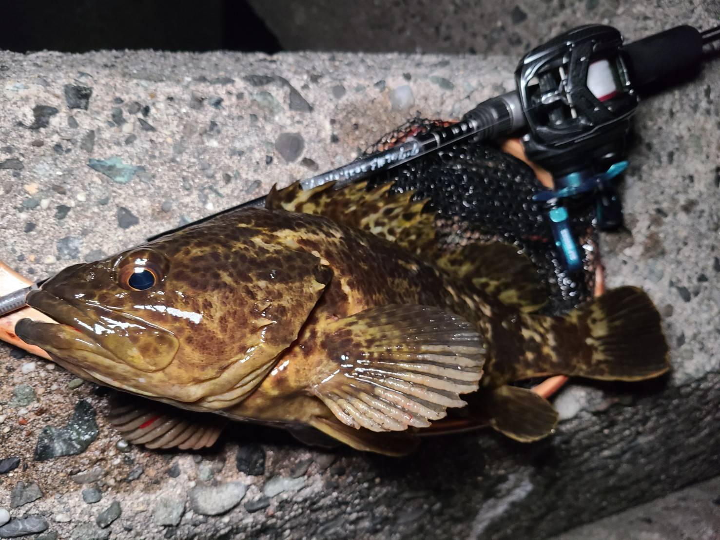 2024年の新製品「Beams inte7.7UL」のコンセプトを徹底解説 - Fishman