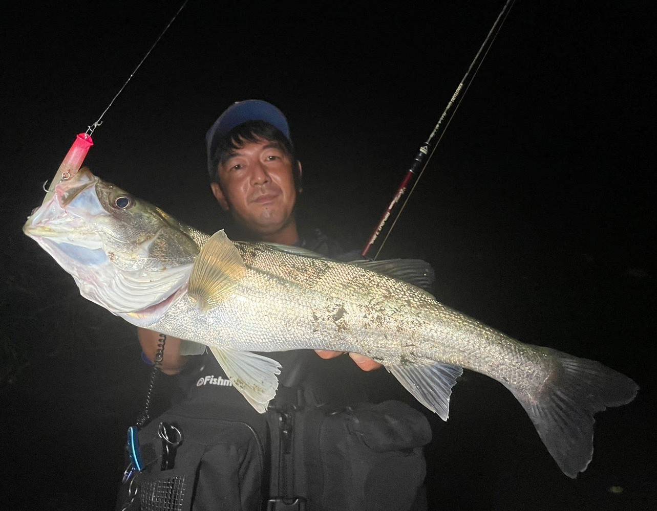 Beams RIPLOUT7.8ML アーカイブ - Fishman（フィッシュマン）