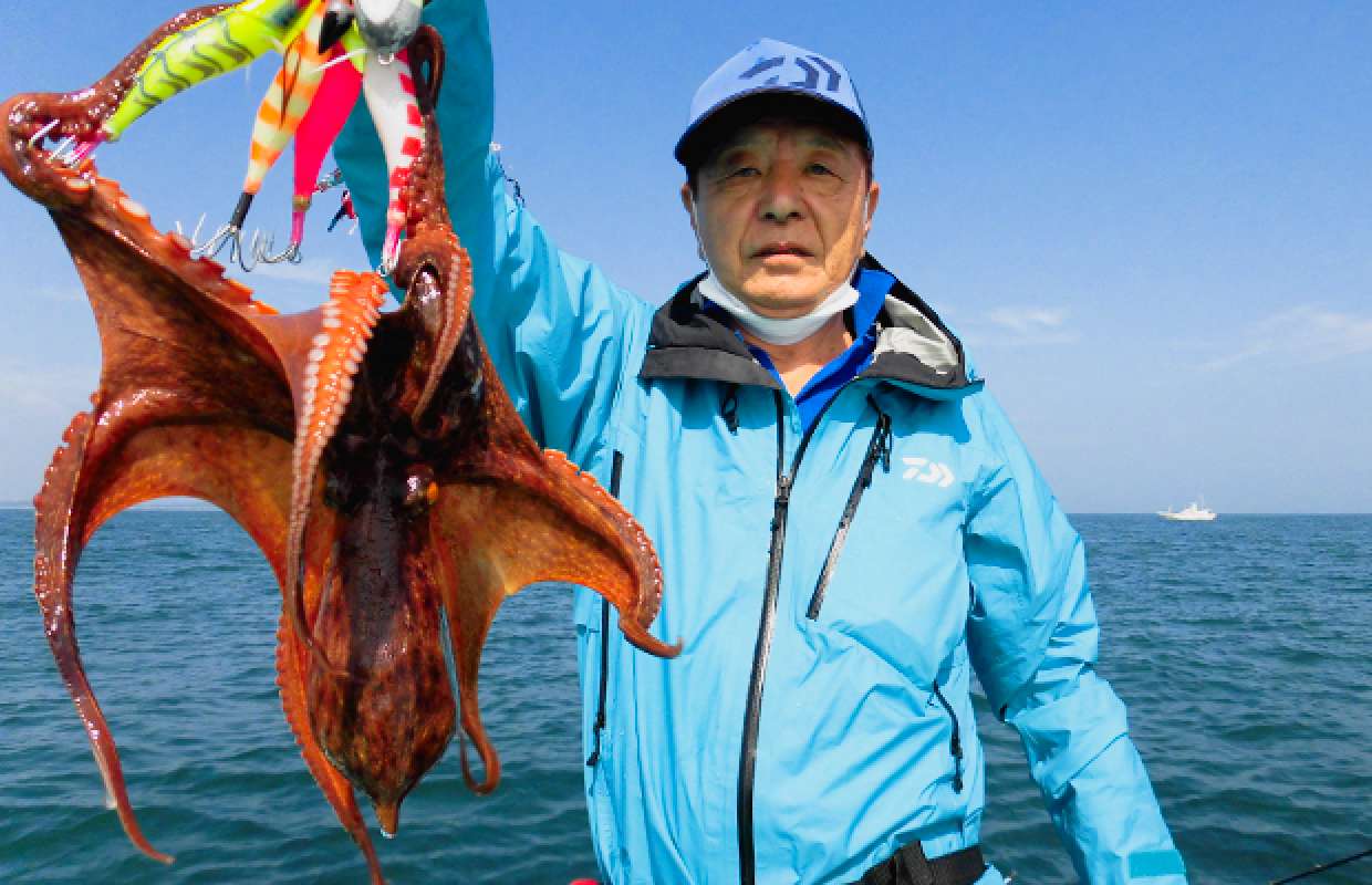 茨城県・日立久慈港発、“エギダコ”連日“好釣”！！ | 釣りビジョン