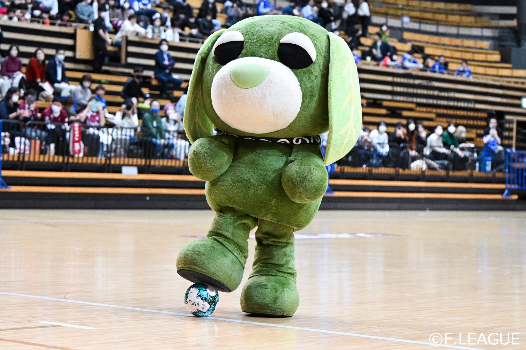 伊藤園 健康ミネラルむぎ茶マッチ」を開催｜Fリーグ公式サイト