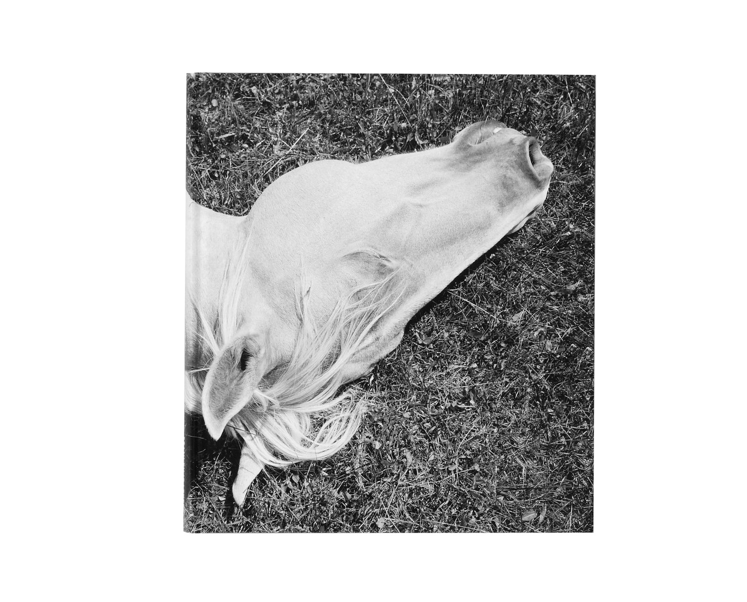 Mimi Plumb 'Megalith-Still' - Fragment