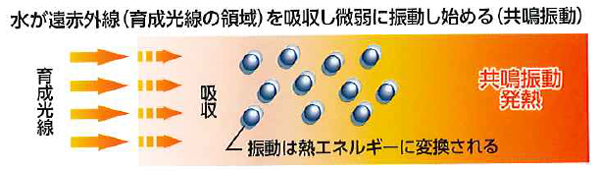 新品 肩温蒸うるおいⅡ フランス総合医療 温熱治療器 肩凝り フランス