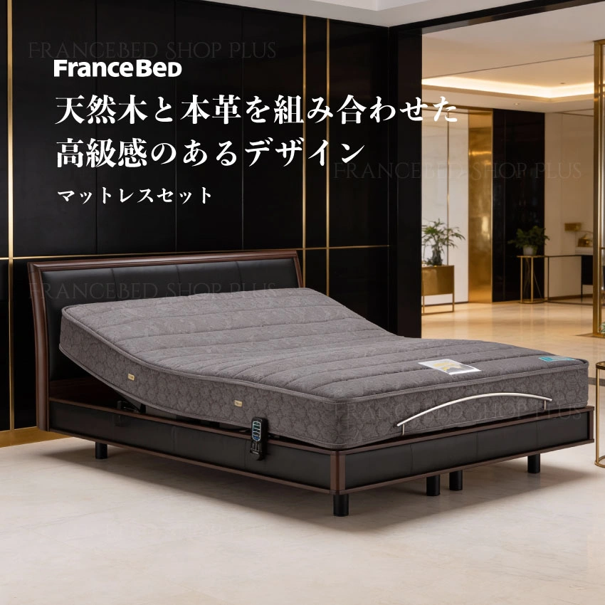 ボステッソ BO-06 + RX-THF｜【公式通販】フランスベッド販売