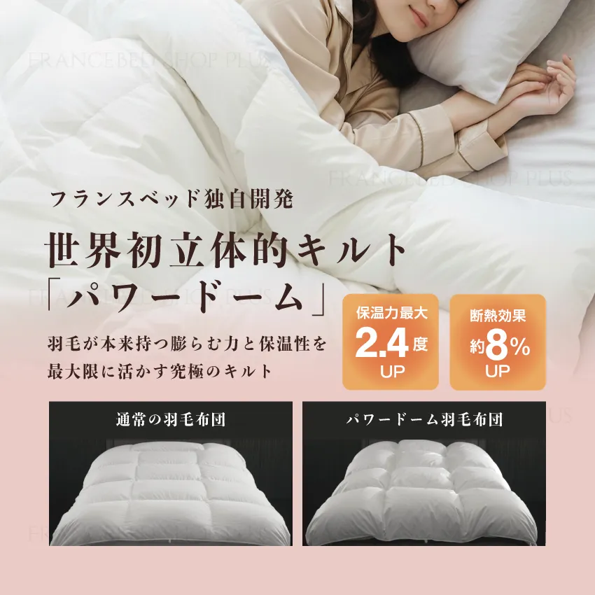 フランスベッド 羽毛ふとん ヴェルモラ01 | 【公式通販】フランス