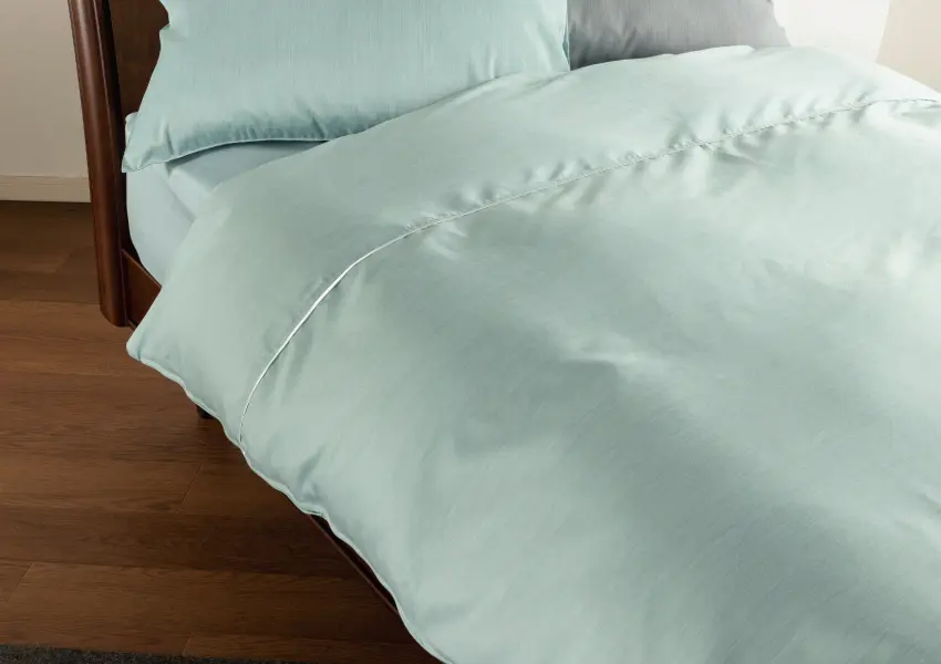 フランスベッド LT 掛けふとんカバー(シングル グリーン): 通常商品